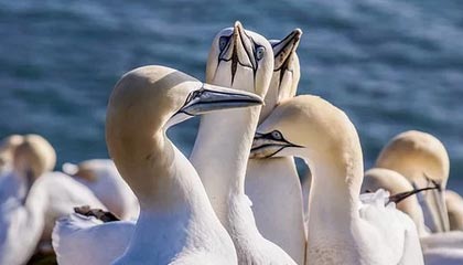 刚谈完稀土就翻脸，波兰放行中欧班列后不服气？直接对华图穷匕见