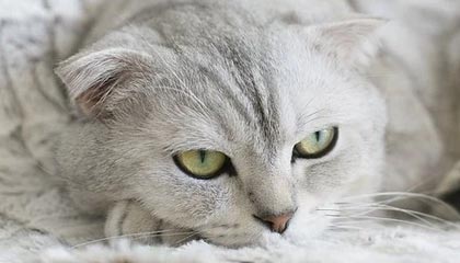 比特币期货跌超1.2%，数字货币交易所Coinbase跌超6%