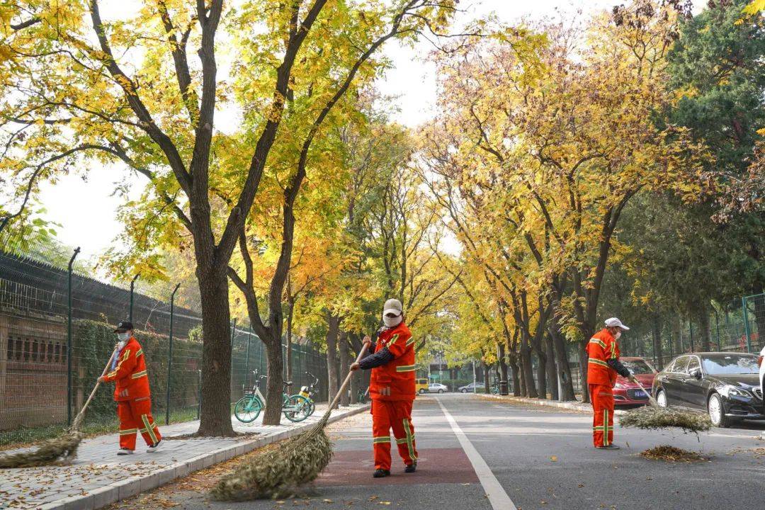 “凌霜绽放”张东梅：三代环卫人的传承者