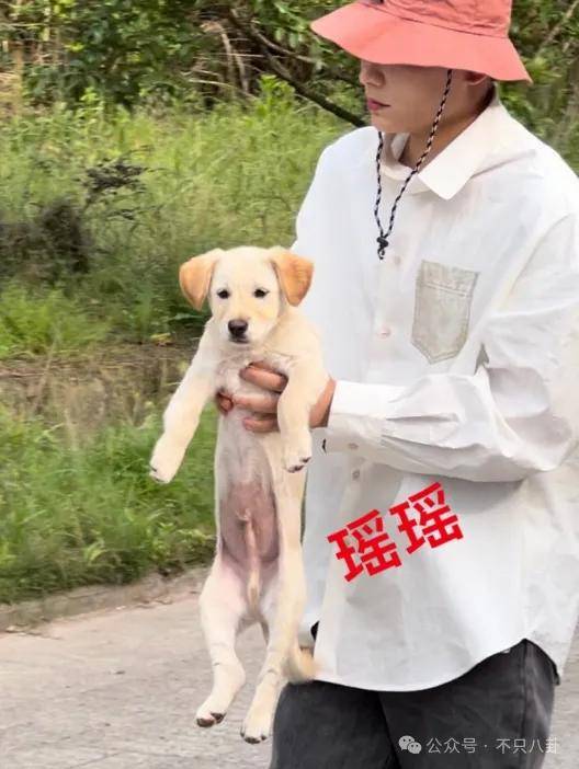 网友扒了他一圈后感慨：人怎么能老实成这样......