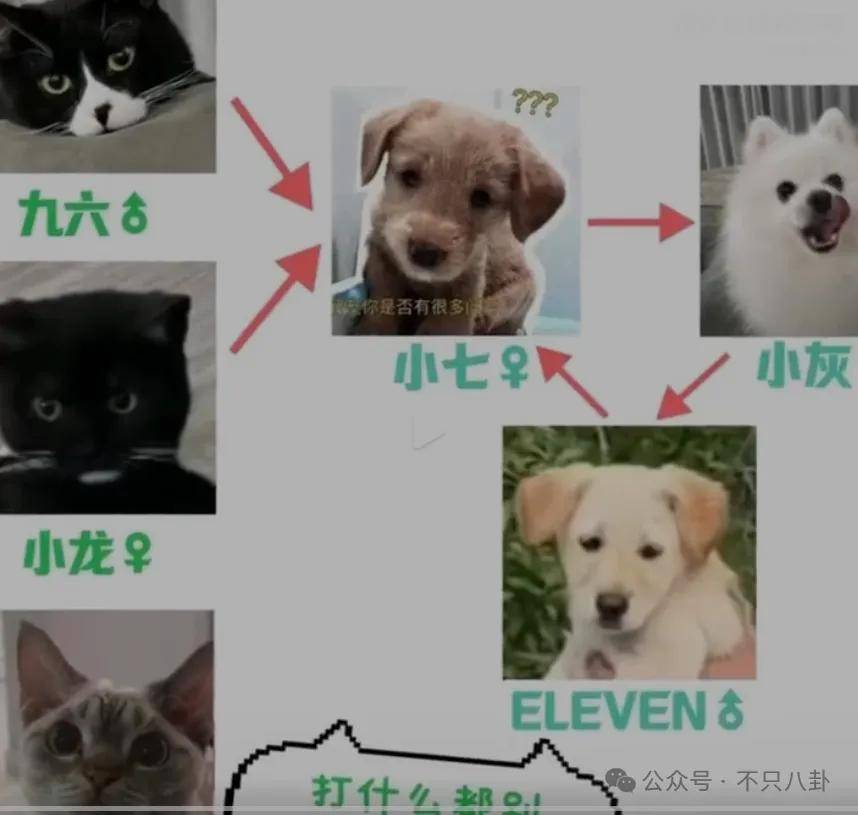 网友扒了他一圈后感慨：人怎么能老实成这样......