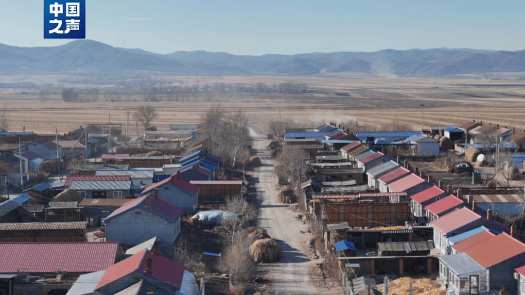 “它要是再扒门，我跑也来不及了！”当事人回忆老虎进村细节