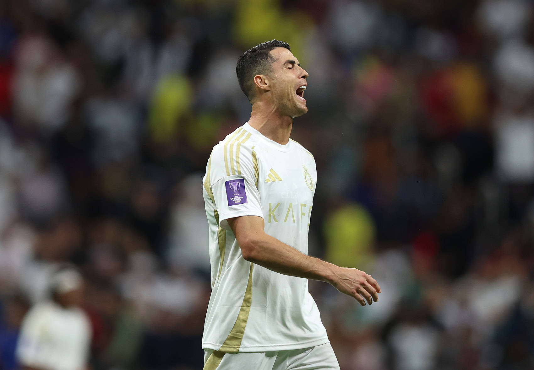 双响！C罗赛季17场13球社媒发文庆祝 马斯克送上祝贺