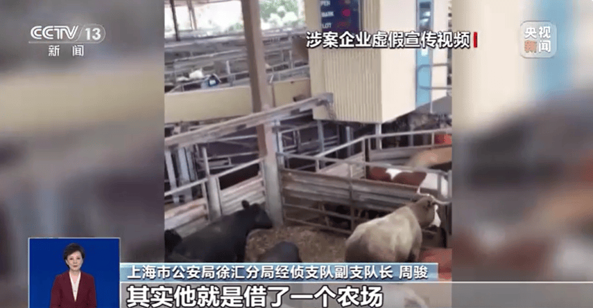 300万元变6万斤牛肉，吃不到也卖不了，什么情况？