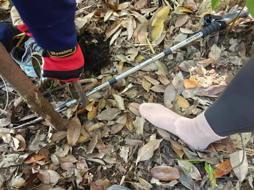 不要去！杭州半天出现7起！紧急提醒