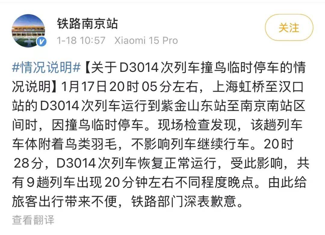 当飞驰列车撞上鸟类，影响有多大？