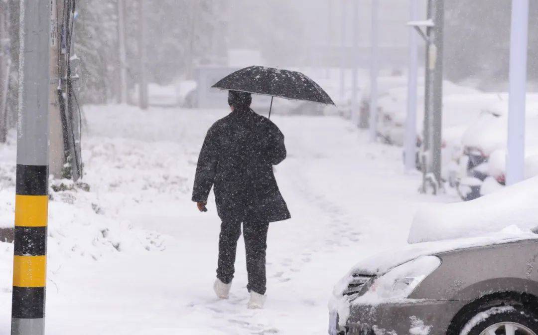 刚刚,沈阳发布大雪黄色预警!启动城市除雪二级(暴雪)橙色预警!