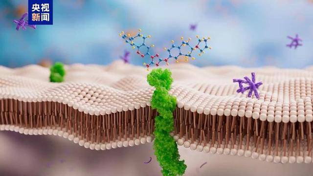 全球首次！复旦大学科研团队发现帕金森病全新治疗靶点
