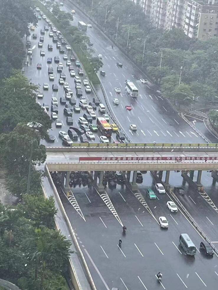 “电鸡围城”，为什么只有广州苦不堪言？