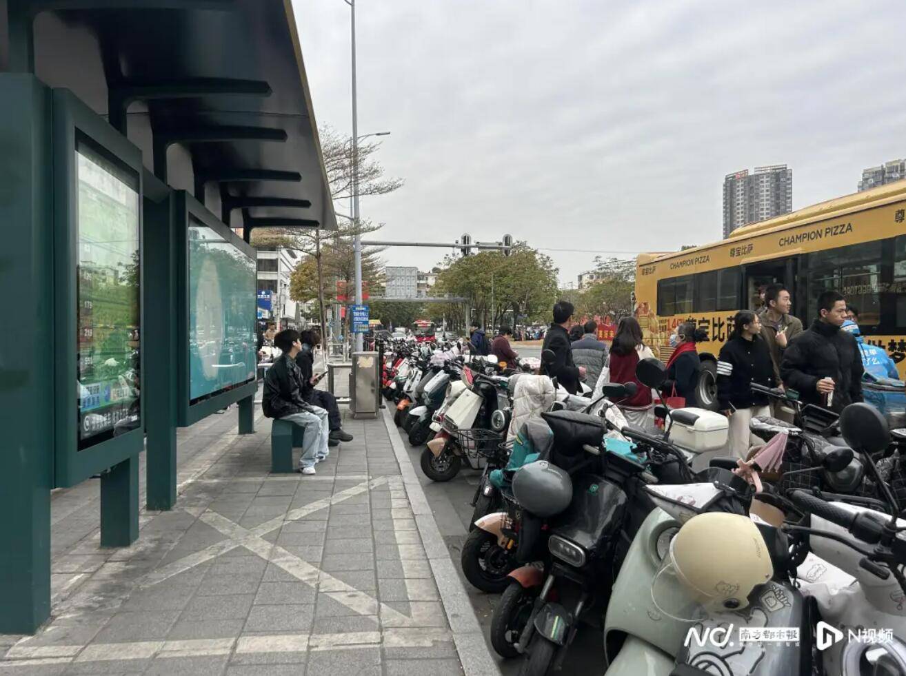 “电鸡围城”，为什么只有广州苦不堪言？