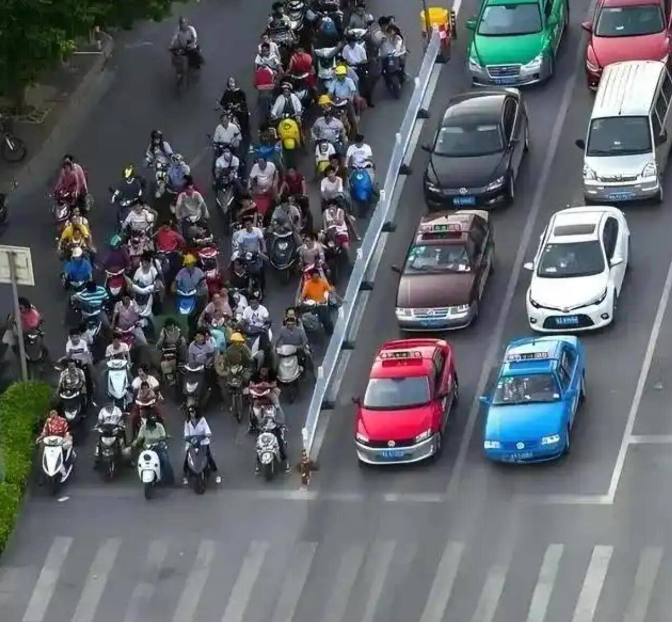 “电鸡围城”，为什么只有广州苦不堪言？