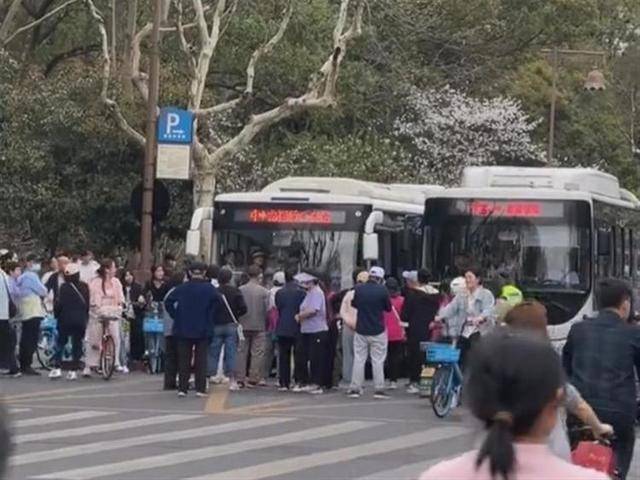 游客成队在杭州雷峰塔外堵路拦公交，当地正实施交通管制，公交集团：已处置