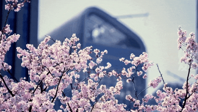 最新确认：今夜抵达杭州！断崖式暴跌！下暴雨、冰雹、强雷电……