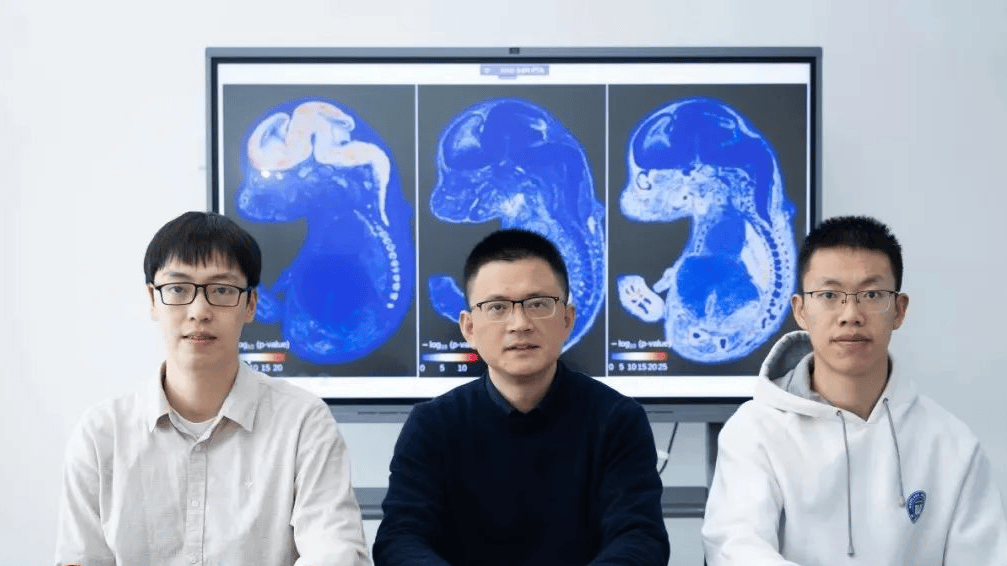 杭州西湖区：抑郁症的“藏身之处”被他们成功定位