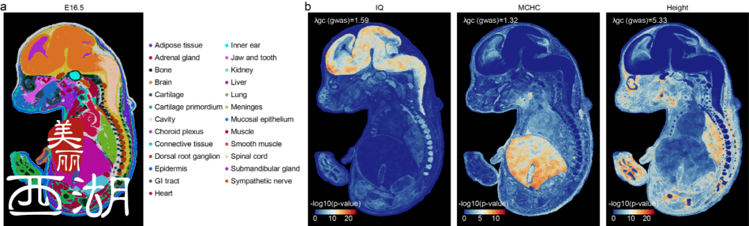 杭州西湖区：抑郁症的“藏身之处”被他们成功定位