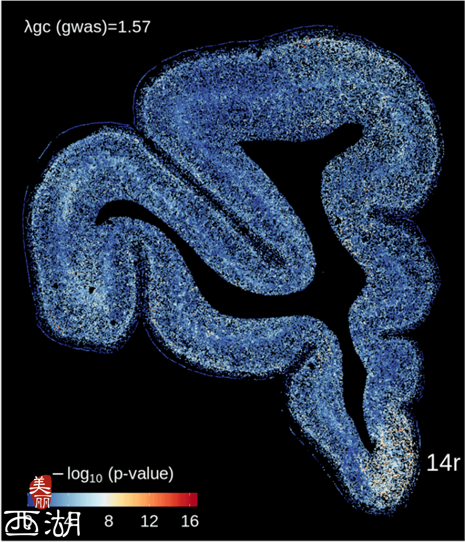 杭州西湖区：抑郁症的“藏身之处”被他们成功定位