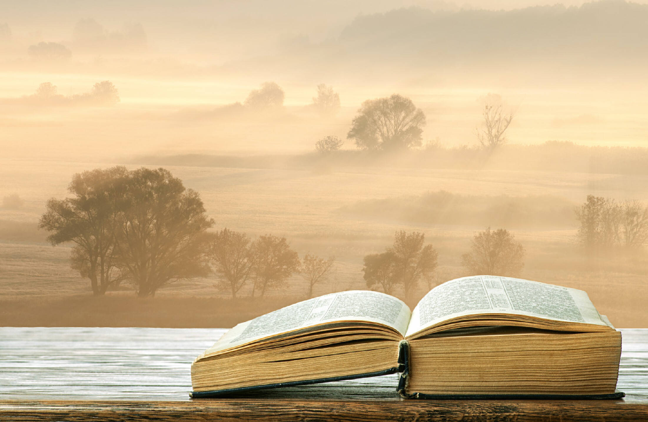 小白商业观丨争议马斯克：商人的边界何在