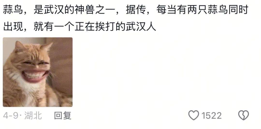 武汉话“蒜鸟”，最近劝（添）架（乱）唯一指定用语