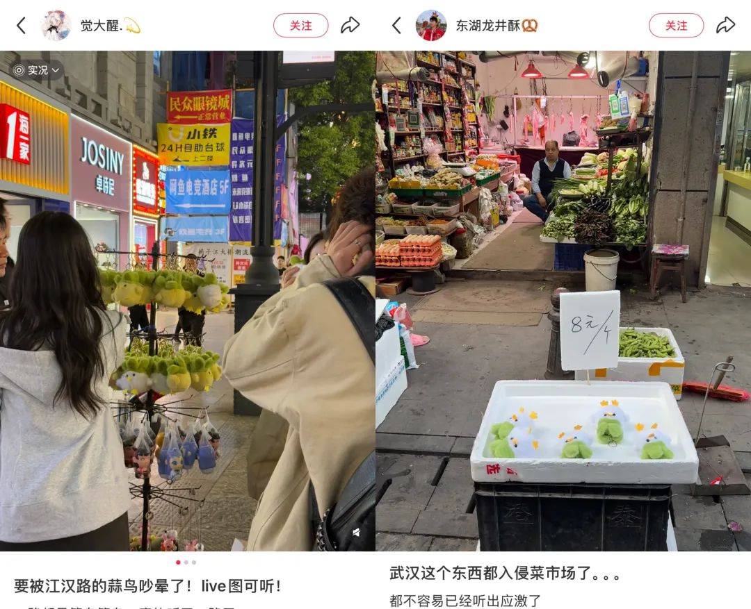 武汉话“蒜鸟”，最近劝（添）架（乱）唯一指定用语