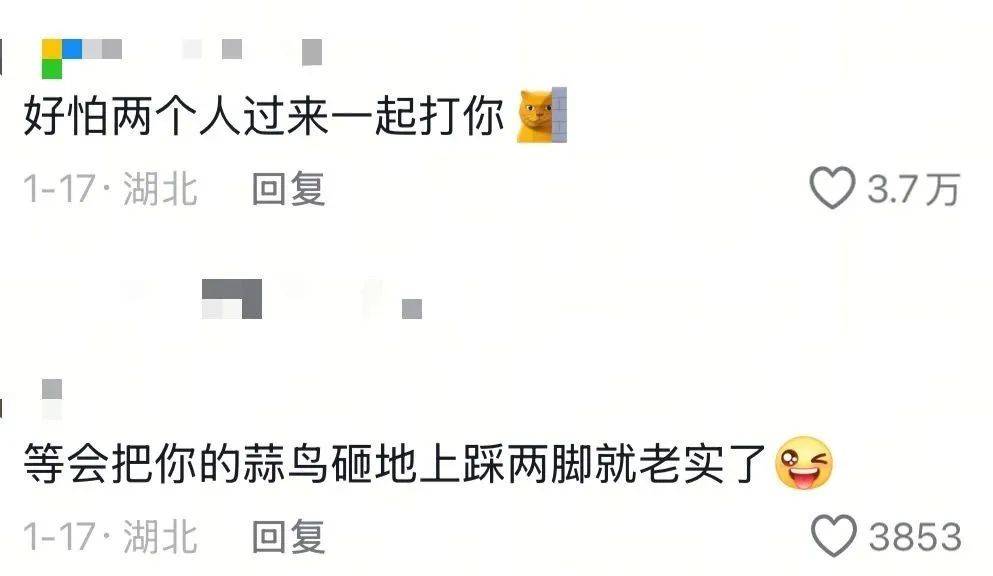 武汉话“蒜鸟”，最近劝（添）架（乱）唯一指定用语