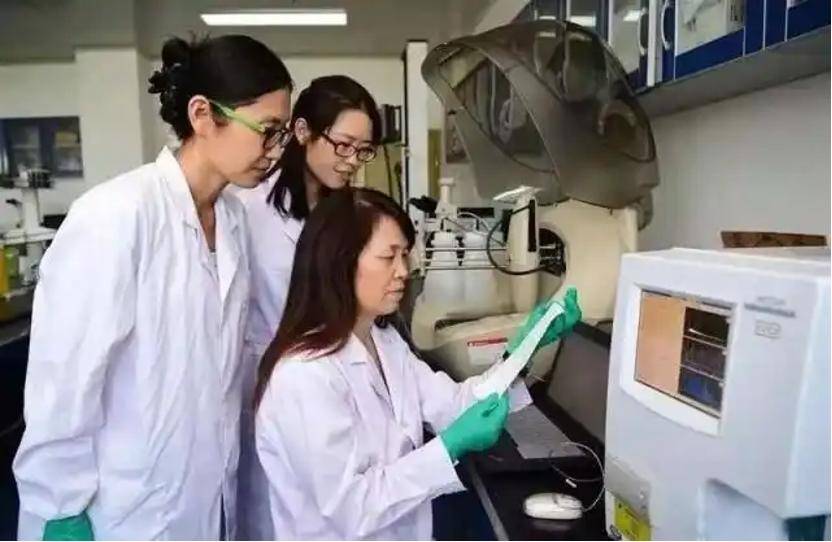 深挖 | “西北大学副校长范代娣成陕西首富”系乌龙，但她的人生如同开挂