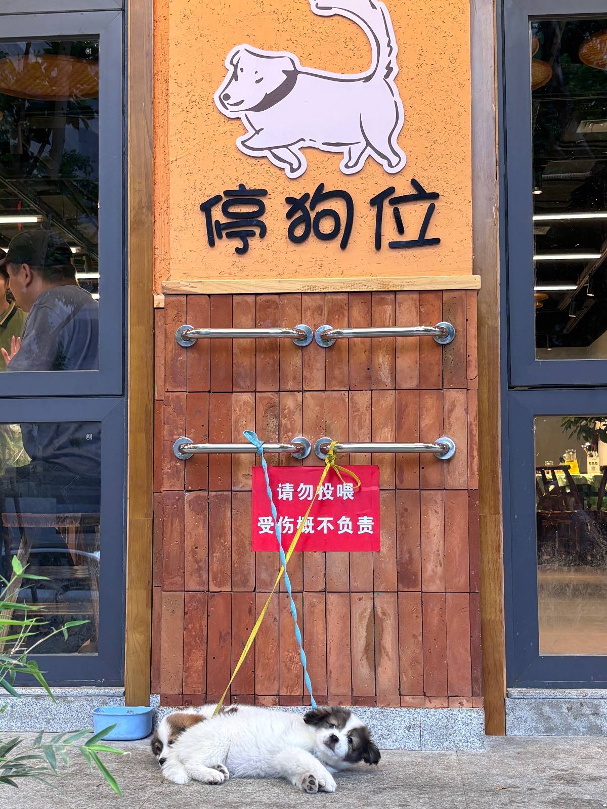“先停狗再干饭！”武汉多个商铺现“停狗位”，商家称为吸引宠主，但有宠主表示担心