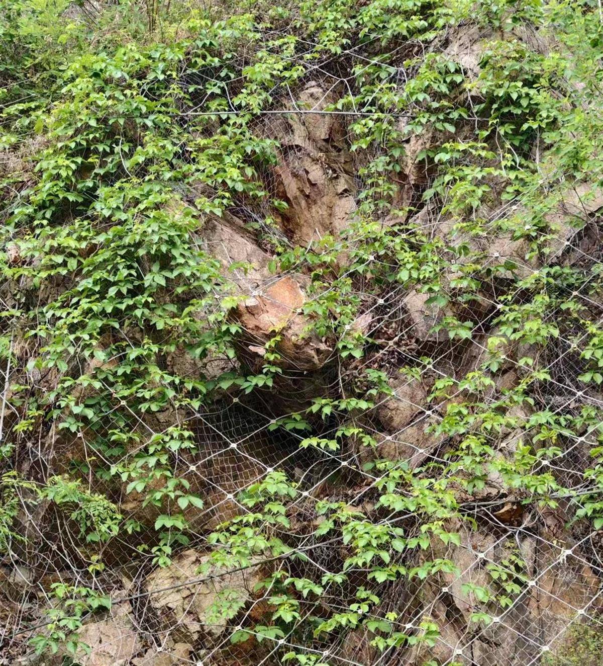 洛阳一家四口返家途中私家车被山体落石砸中，36岁父亲当场遇难，当地政府已成立工作专班