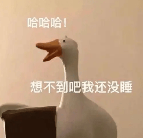 “一小时飞过8架”“感觉屋在抖”！深圳有小区遭遇，市民：睡不着