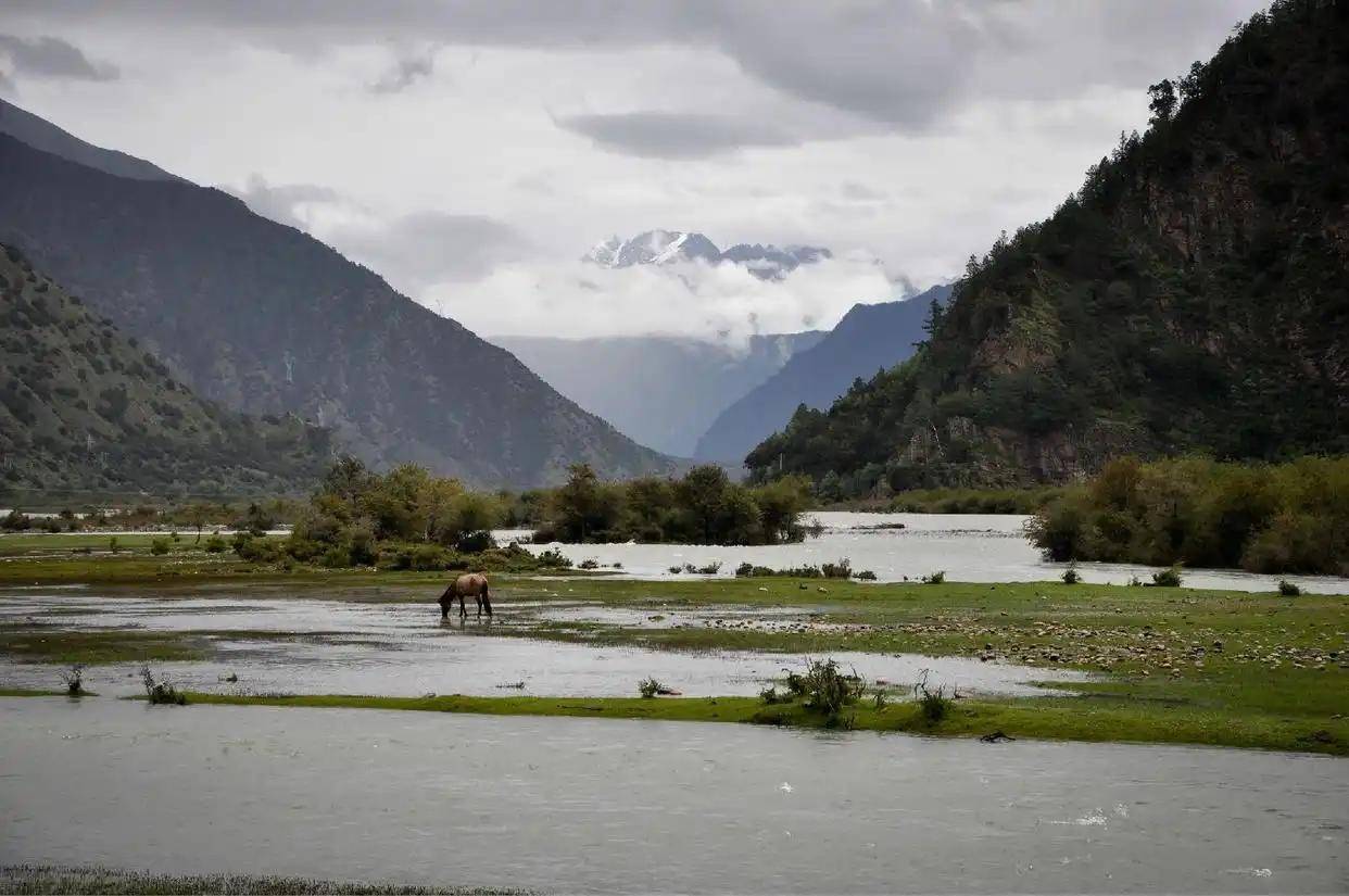 莫迪开始算账了，印度反对中国宣示藏南主权，中方回应十分霸气！
