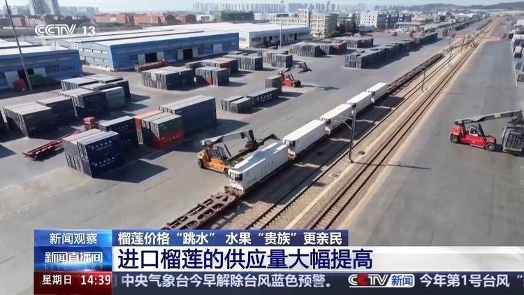 榴莲价格便宜了，原来和这条专线有关