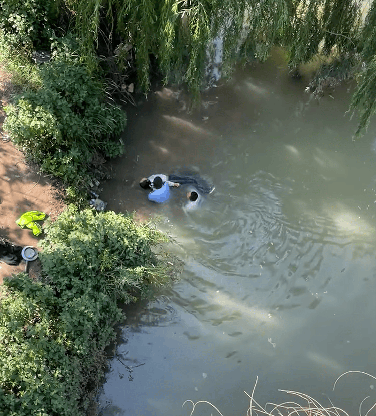 辅警跳河救起轻生女，上岸时被红火蚁咬伤：系最危险入侵物种之一，过敏者或致休克