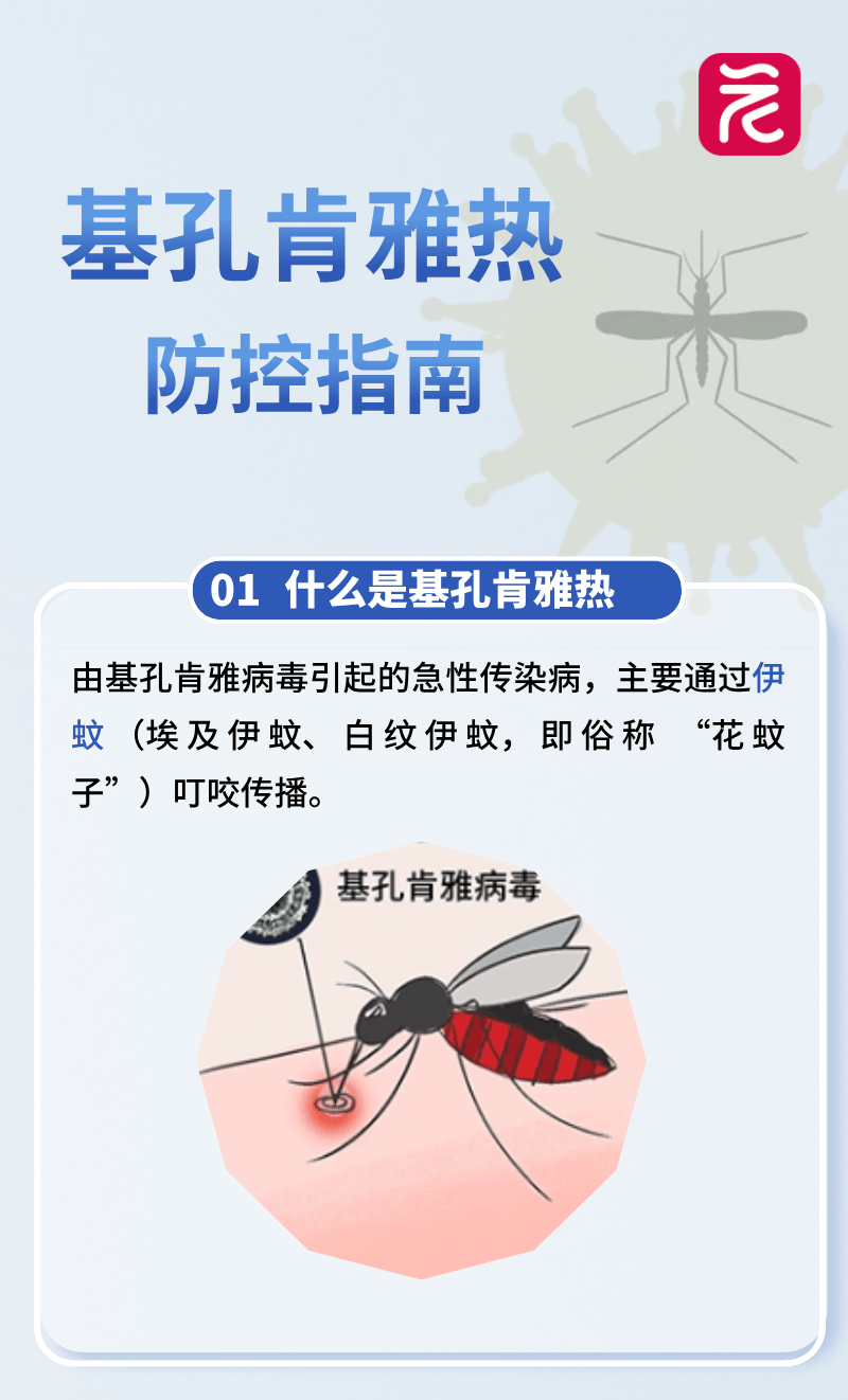北京发现输入病例，广东确诊已超2000例！世卫专家发出警报→