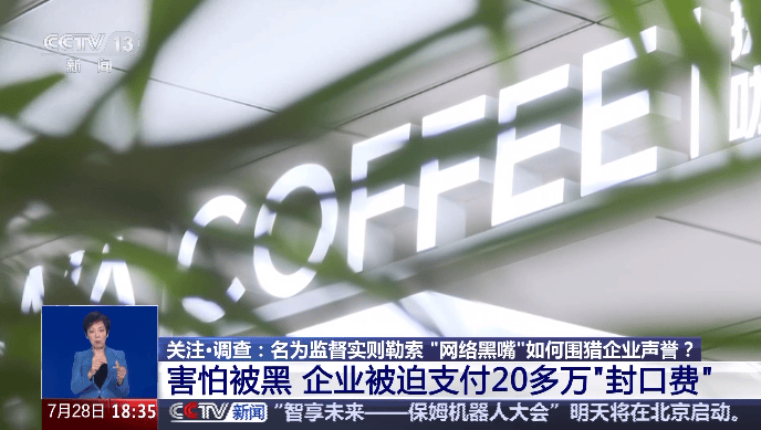 “不给钱就黑你”，敲诈勒索多家企业，仅一家就拿了20多万元“封口费”，自媒体黑嘴苏某被刑拘