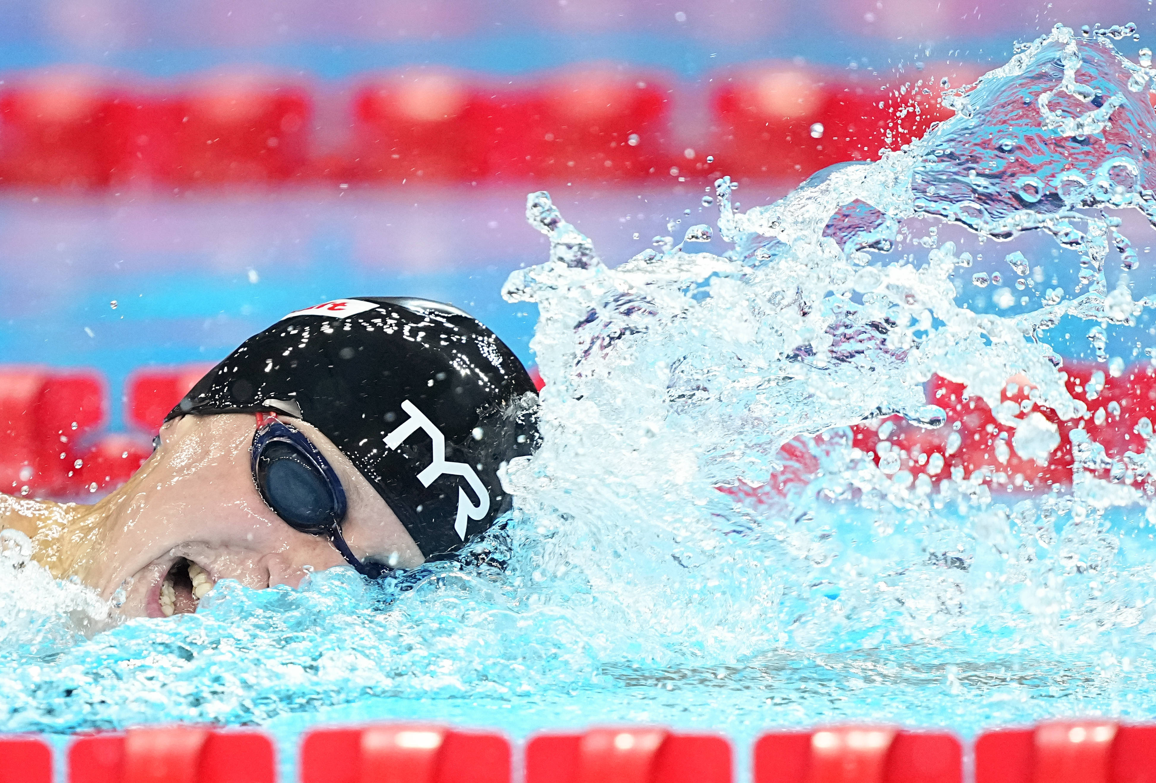 （游泳世锦赛）游泳——女子1500米自由泳决赛赛况