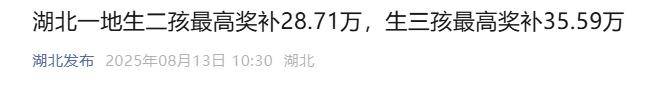 湖北一地宣布：生二孩最高奖补28万、生三孩35万