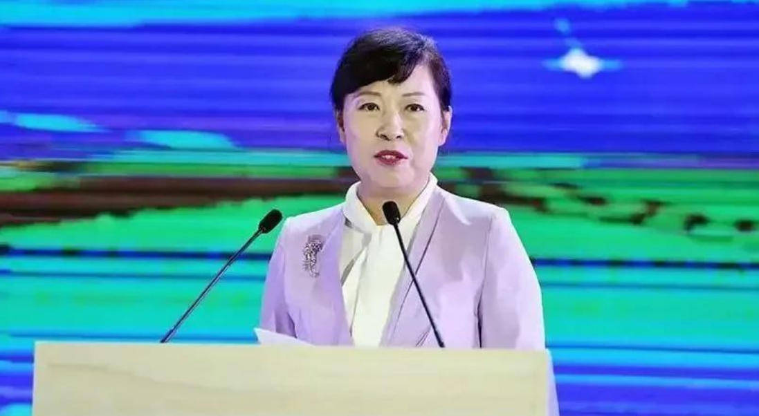 “换装主席”王莉霞的堕落：从光鲜人设到腐败深渊