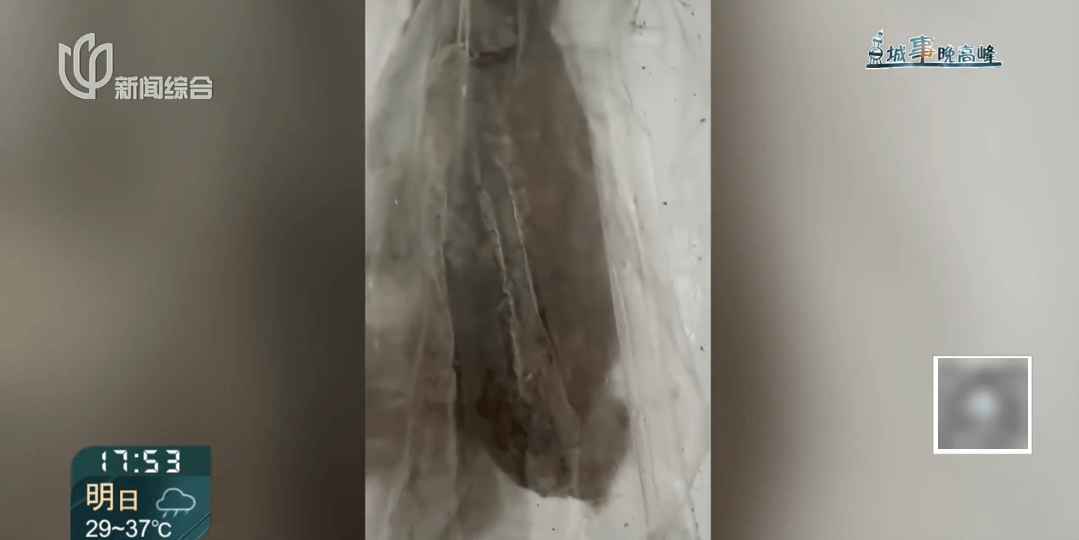 上海这对夫妇住洋房遇到“疯狂邻居”：楼道放大便