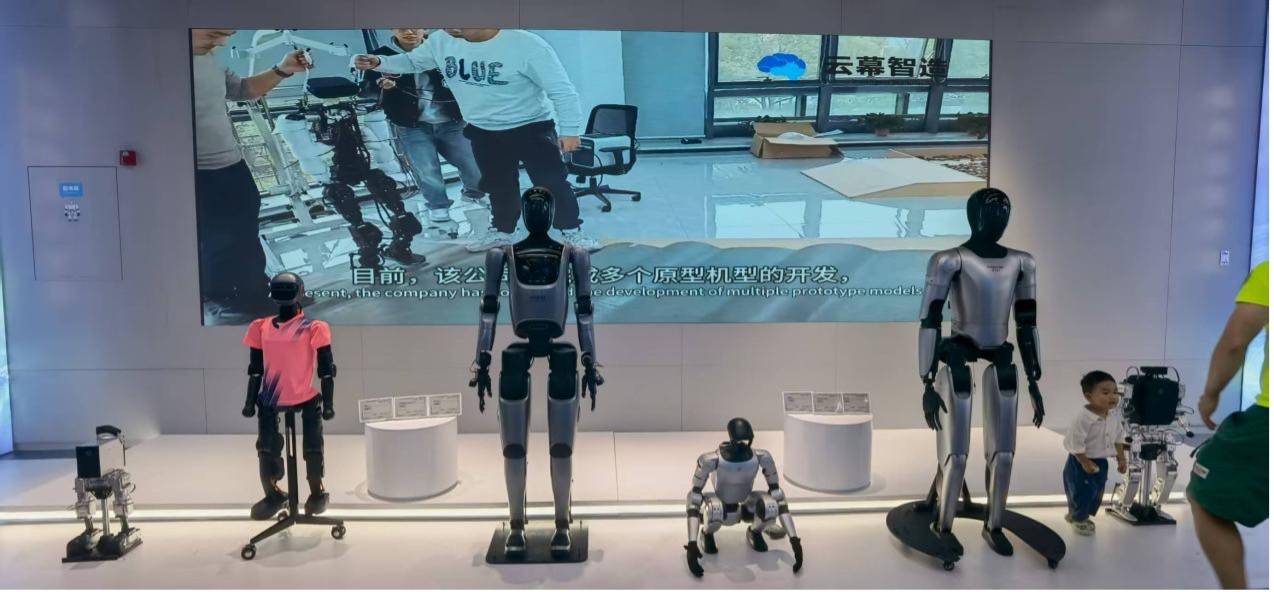 从 1299 元 “桌宠” 到百万 “人形管家”：消费级机器人摆上货架，谁在真买单？