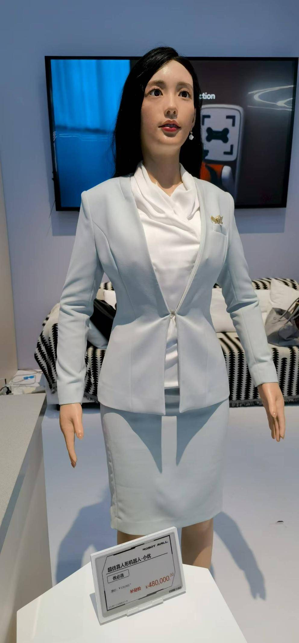 从 1299 元 “桌宠” 到百万 “人形管家”：消费级机器人摆上货架，谁在真买单？