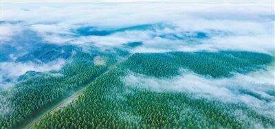 生态文明建设实现新进步（新时代画卷·决战决胜“十四五”）