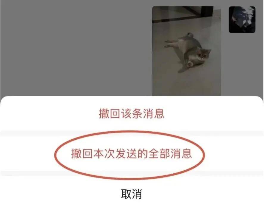 传宗馥莉被带走，娃哈哈董事会成员回应；资深天使投资人因车祸不幸离世；微信灰度测试一次性撤回全部消息；鸡排哥疑似成立工作室丨邦早报
