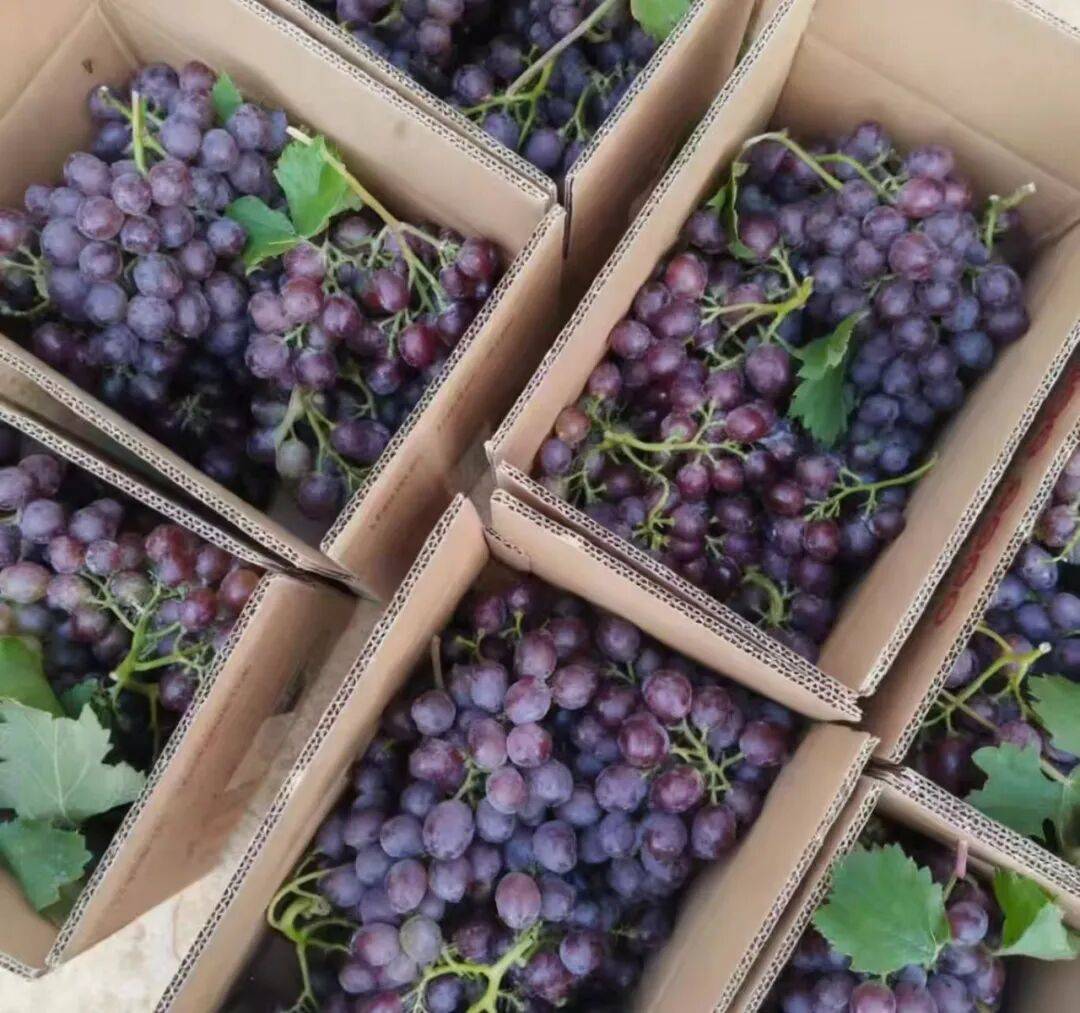 月入过万都难！00后主播逃离直播间