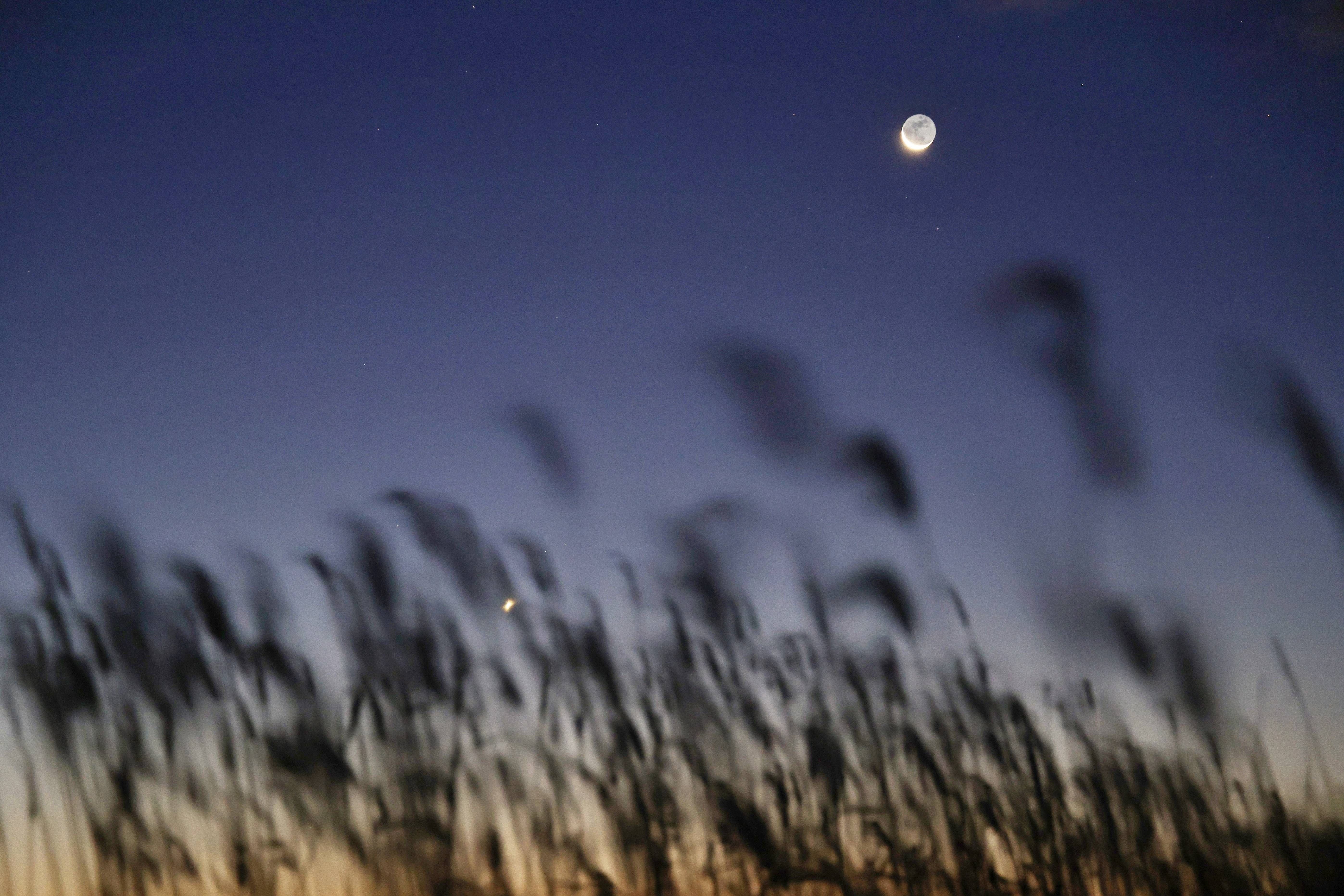 星空相册｜启明星伴月现身天宇#