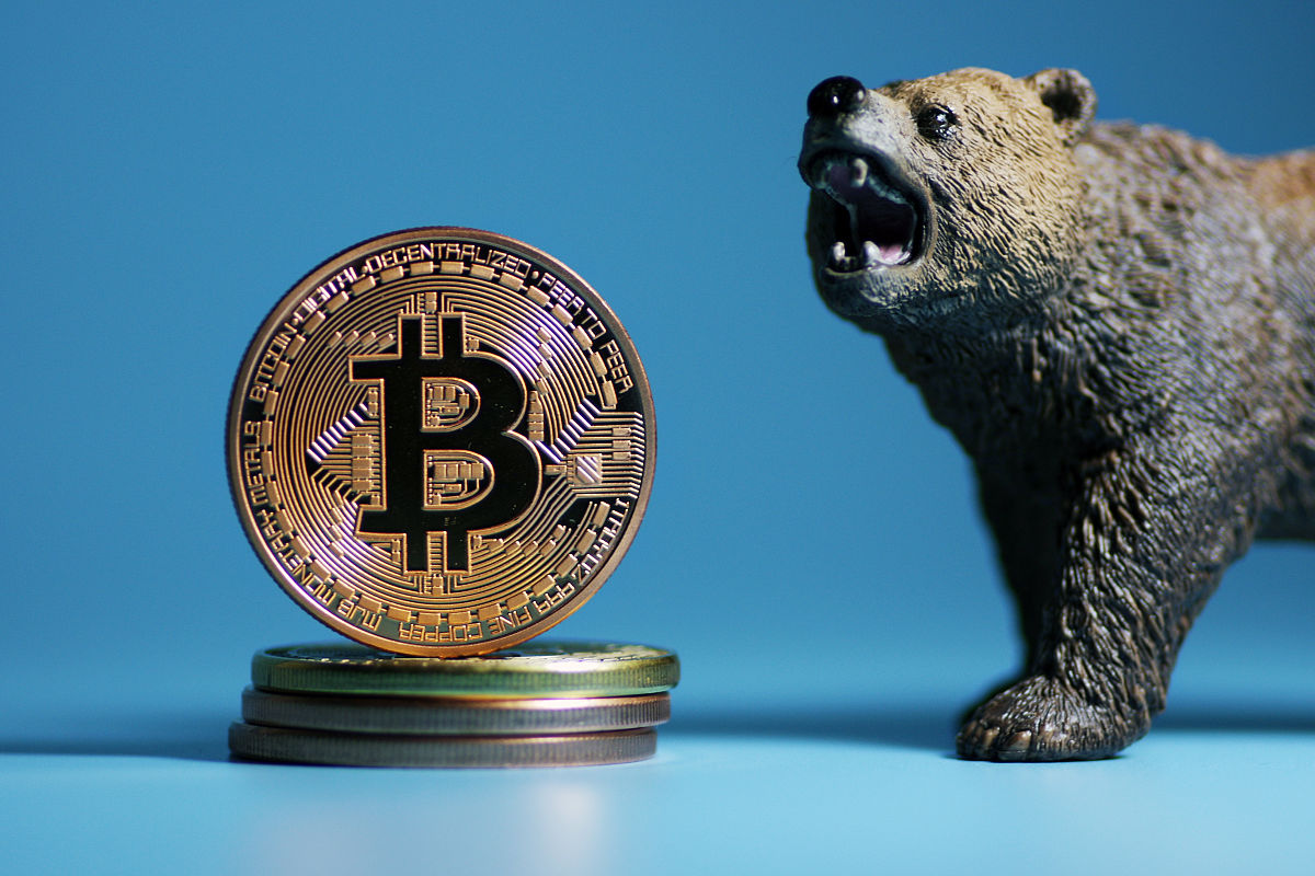 edr虚拟币(ever虚拟币)